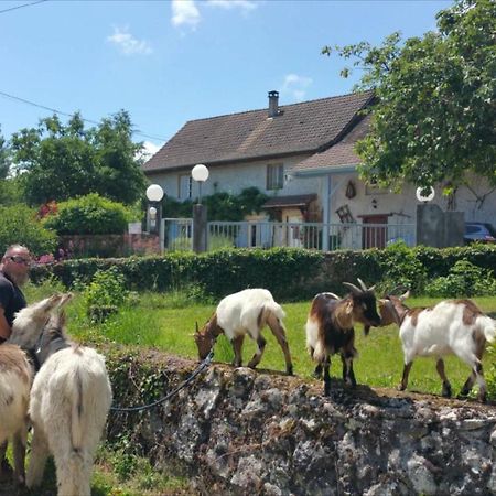 Basse-Cour De Montin Au 256 Chemin De La Rocaille A 38510 Vezeronce Curtin Bed & Breakfast Morestel Luaran gambar