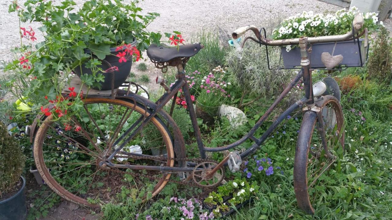 Basse-Cour De Montin Au 256 Chemin De La Rocaille A 38510 Vezeronce Curtin Bed & Breakfast Morestel Luaran gambar
